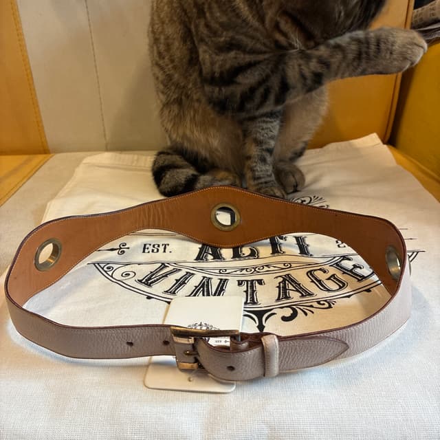 Dream Pink Leather Belt